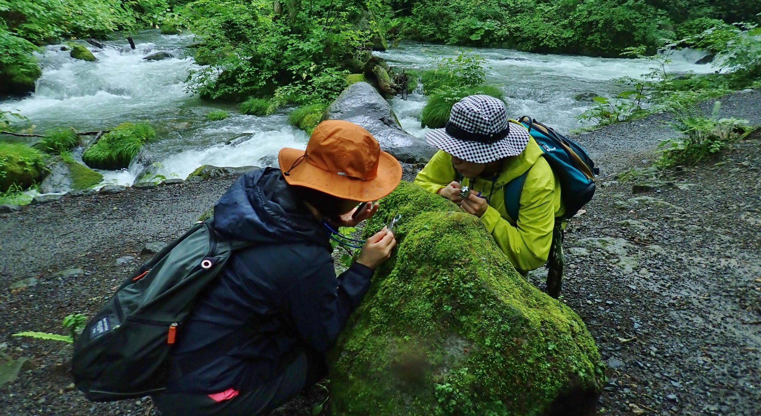 夏のプライベートランブリングツアー11