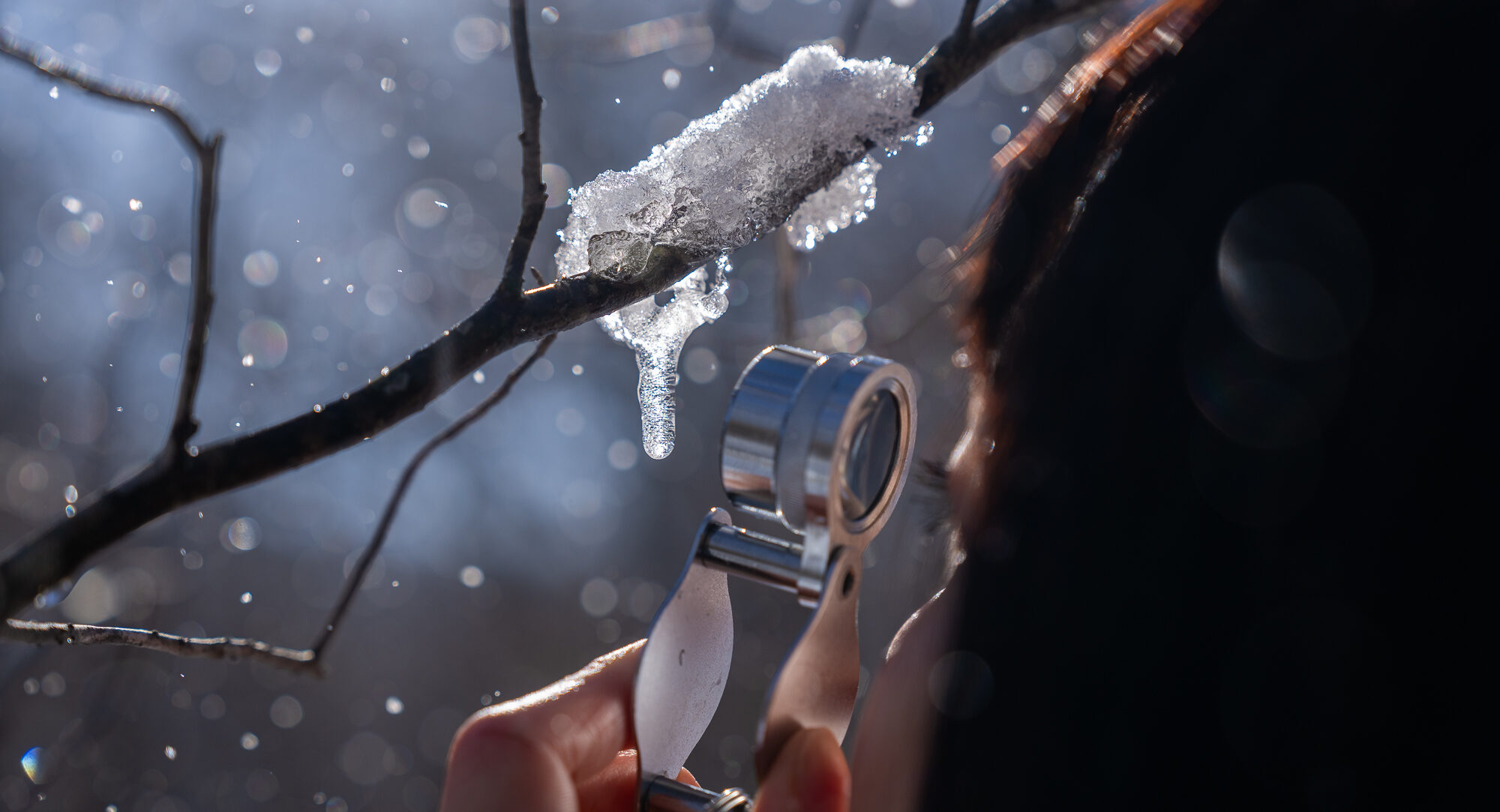 雪の奥入瀬さんぽ2