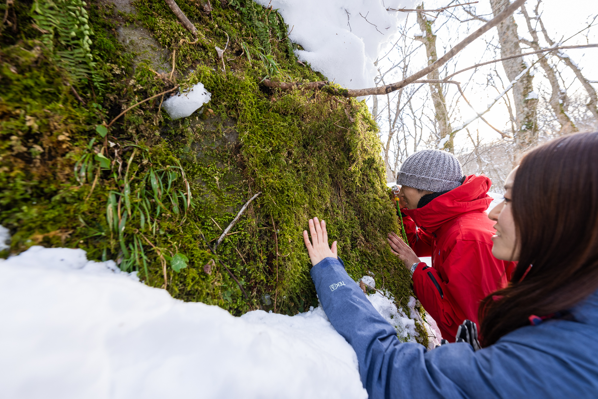 雪の奥入瀬さんぽツアー詳細4