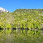 蔦の森ネイチャーウォーク ～森と水の息づかいに出会う～ thumbnail