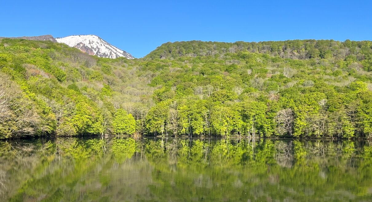 蔦の森ネイチャーウォーク ～森と水の息づかいに出会う～1