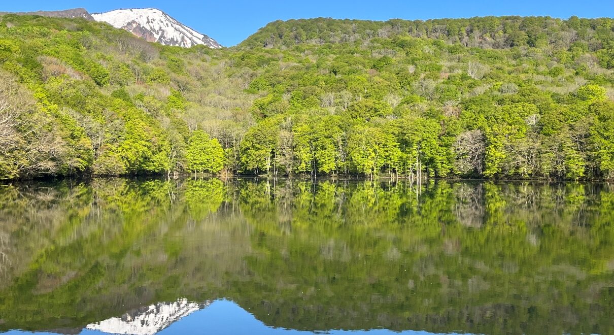 蔦の森ネイチャーウォーク ～森と水の息づかいに出会う～1
