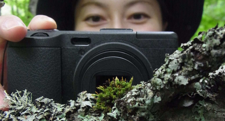 奥入瀬ネイチャーウォーク ～流れのトレイル～ツアー詳細4