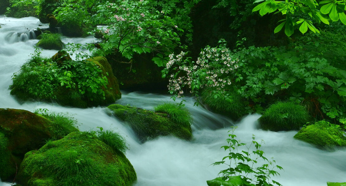 夏のプライベートランブリングツアー2