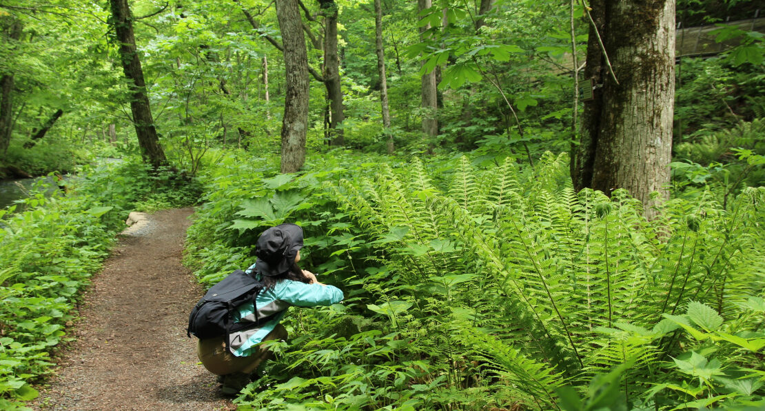 夏のプライベートランブリングツアー7