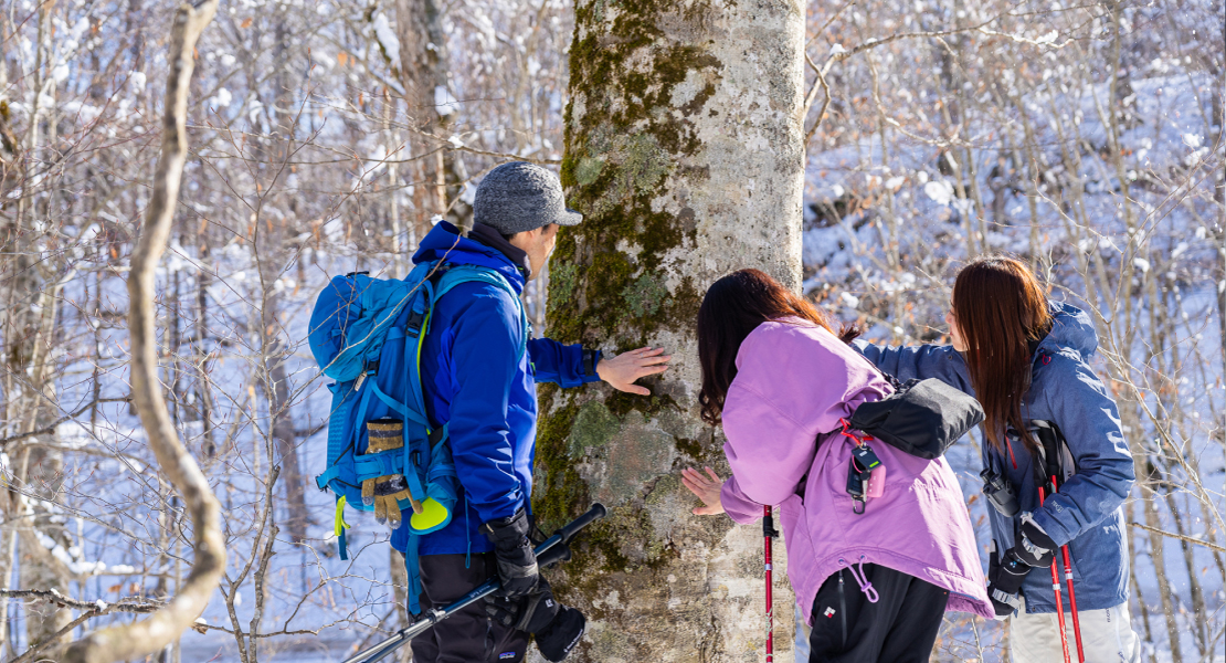雪の奥入瀬さんぽ4