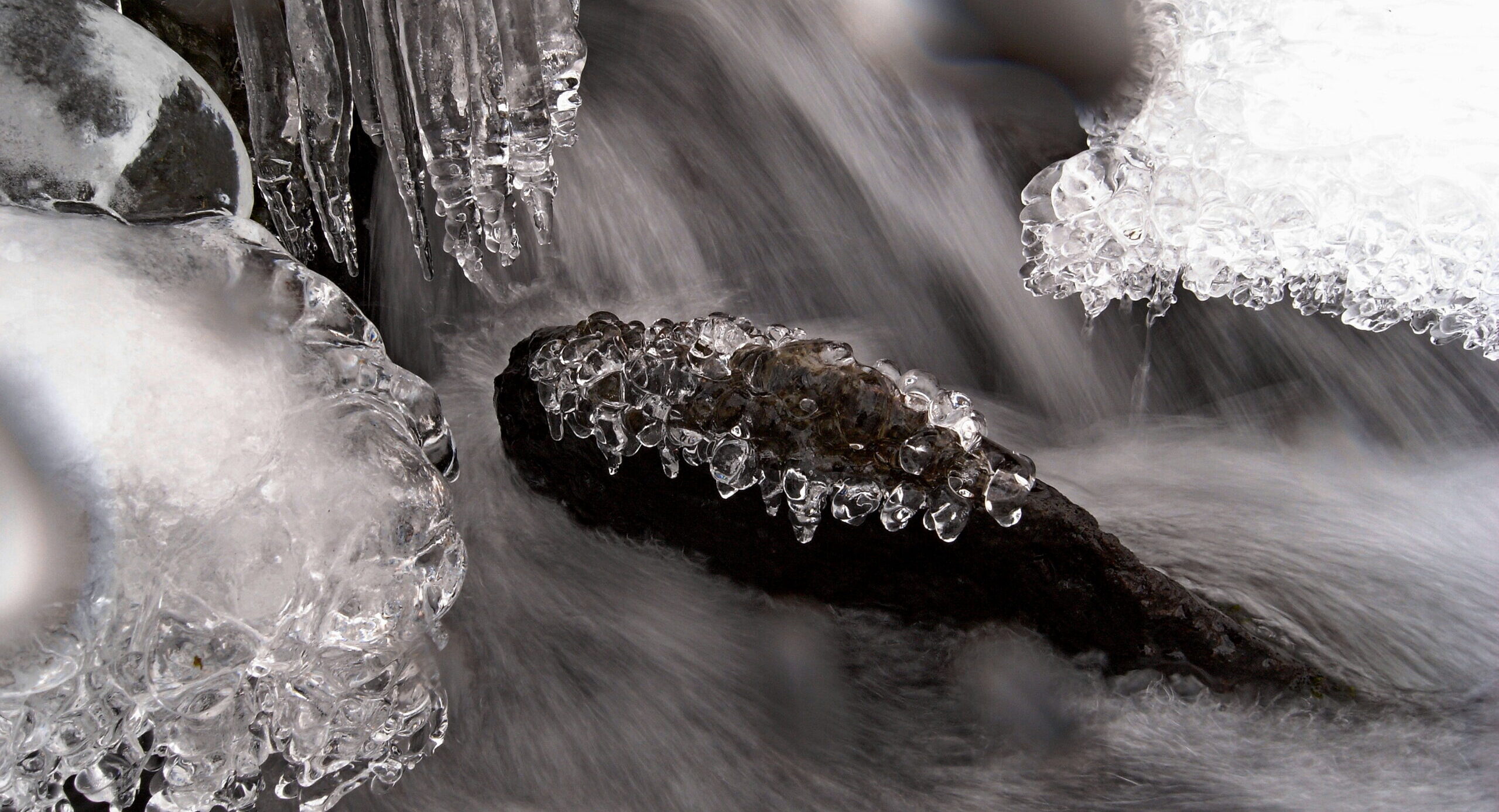 雪の奥入瀬さんぽ6
