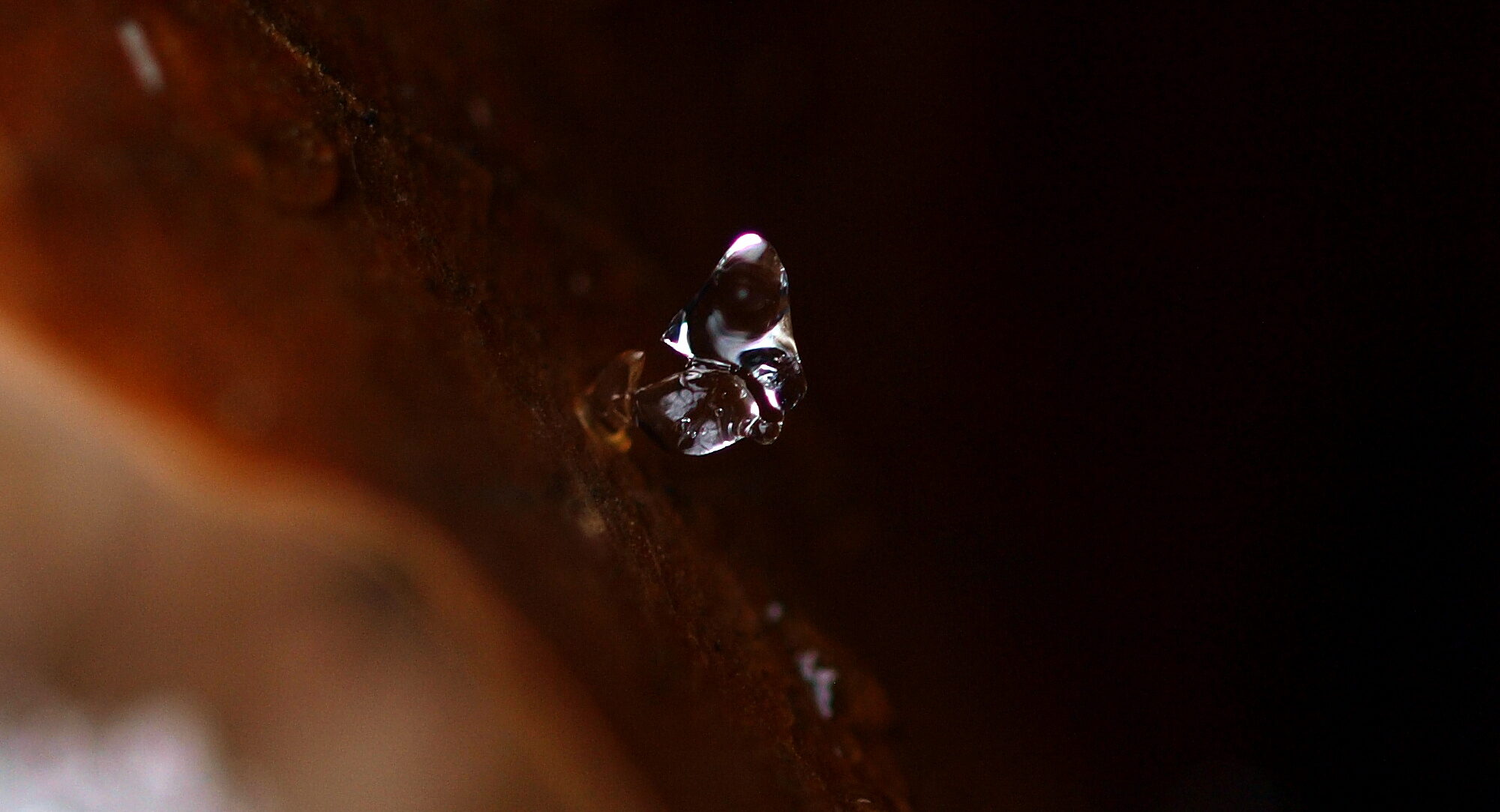 氷の芸術を楽しむ「氷瀑さんぽ」3