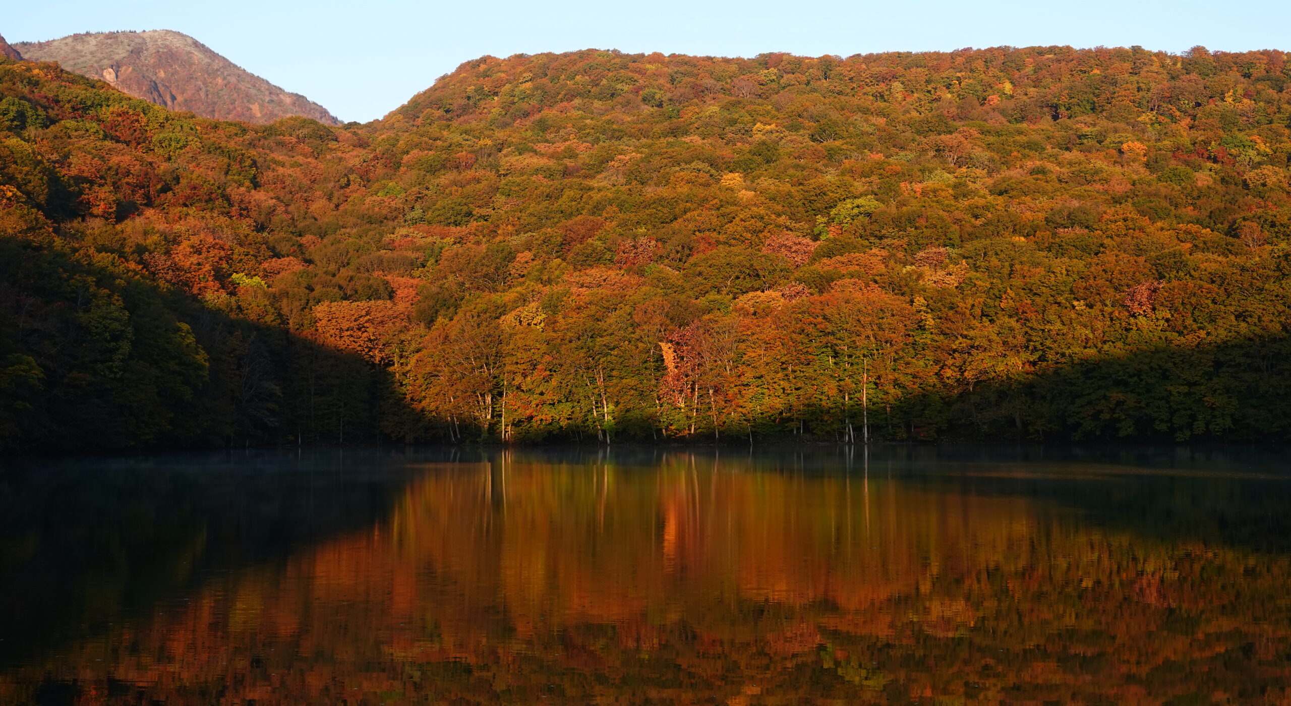 蔦の森ネイチャーウォーク ～森と水の息づかいに出会う～4