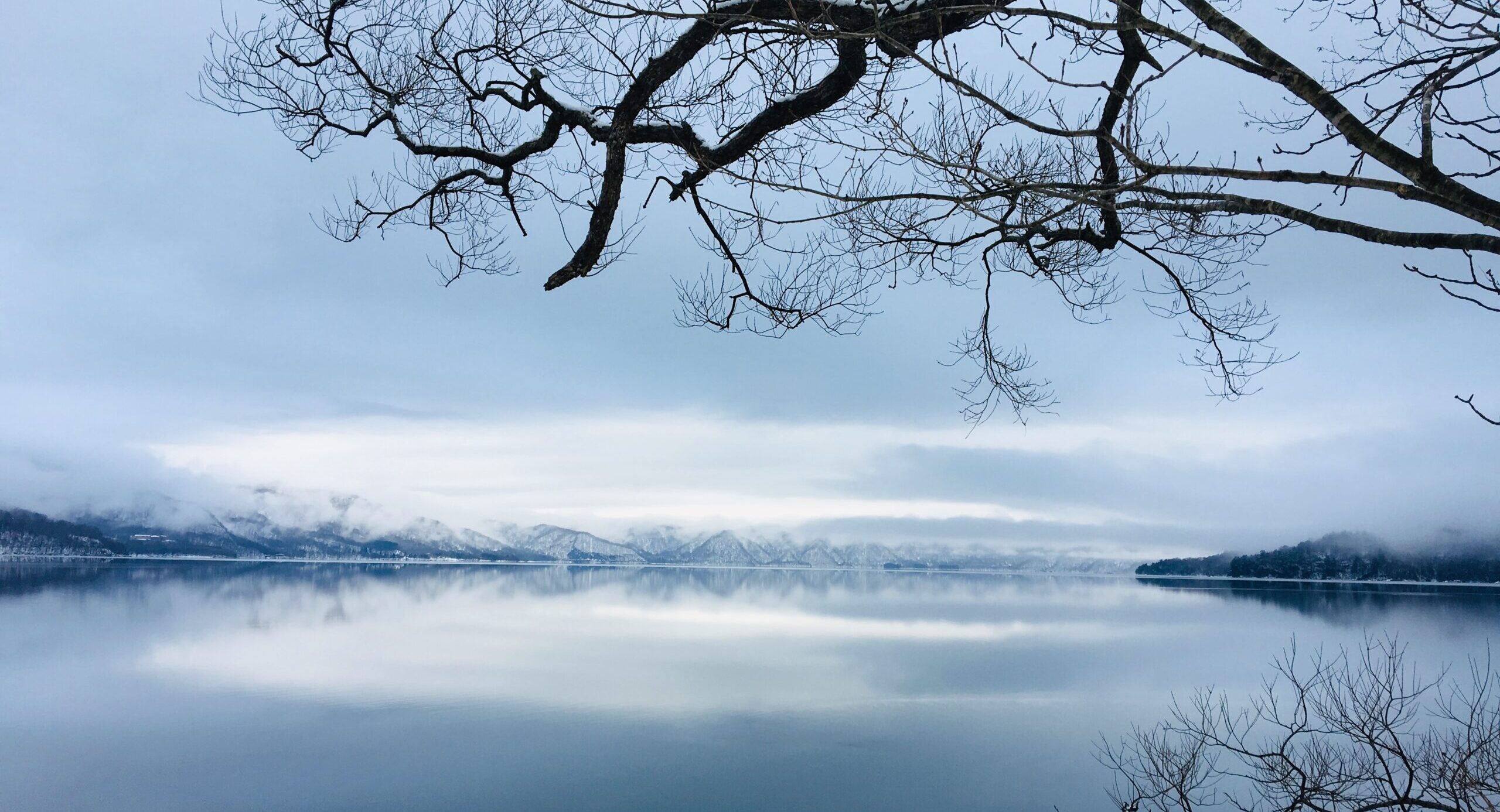 冬のプライベートランブリングツアー3