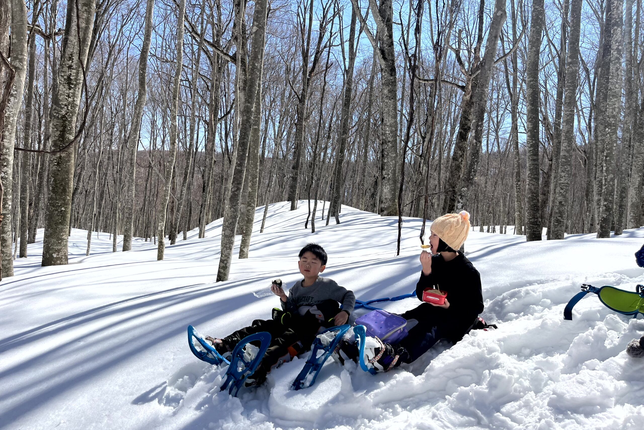 冬のプライベートランブリングツアーツアー詳細2