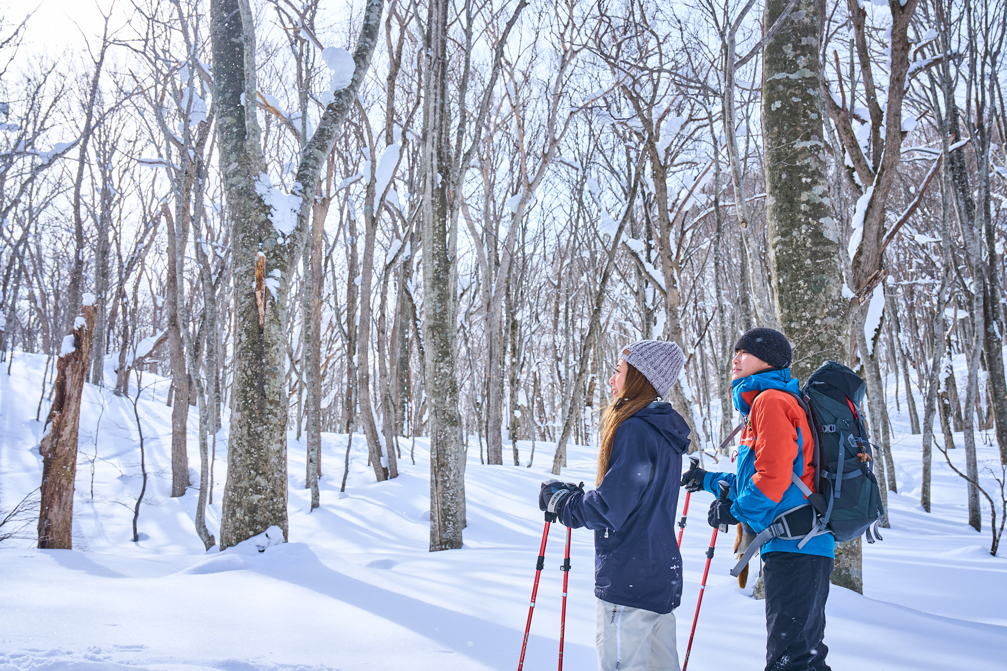 ブナの美林と蔦沼を巡るスノーシューハイキング5