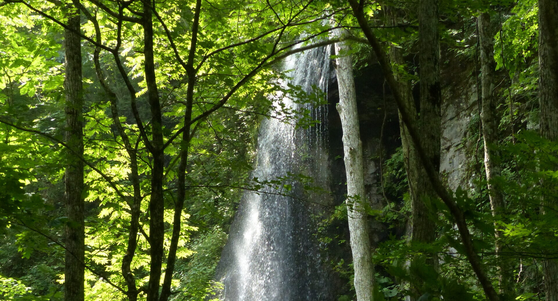 奥入瀬ネイチャーウォーク ～滝のトレイル～2