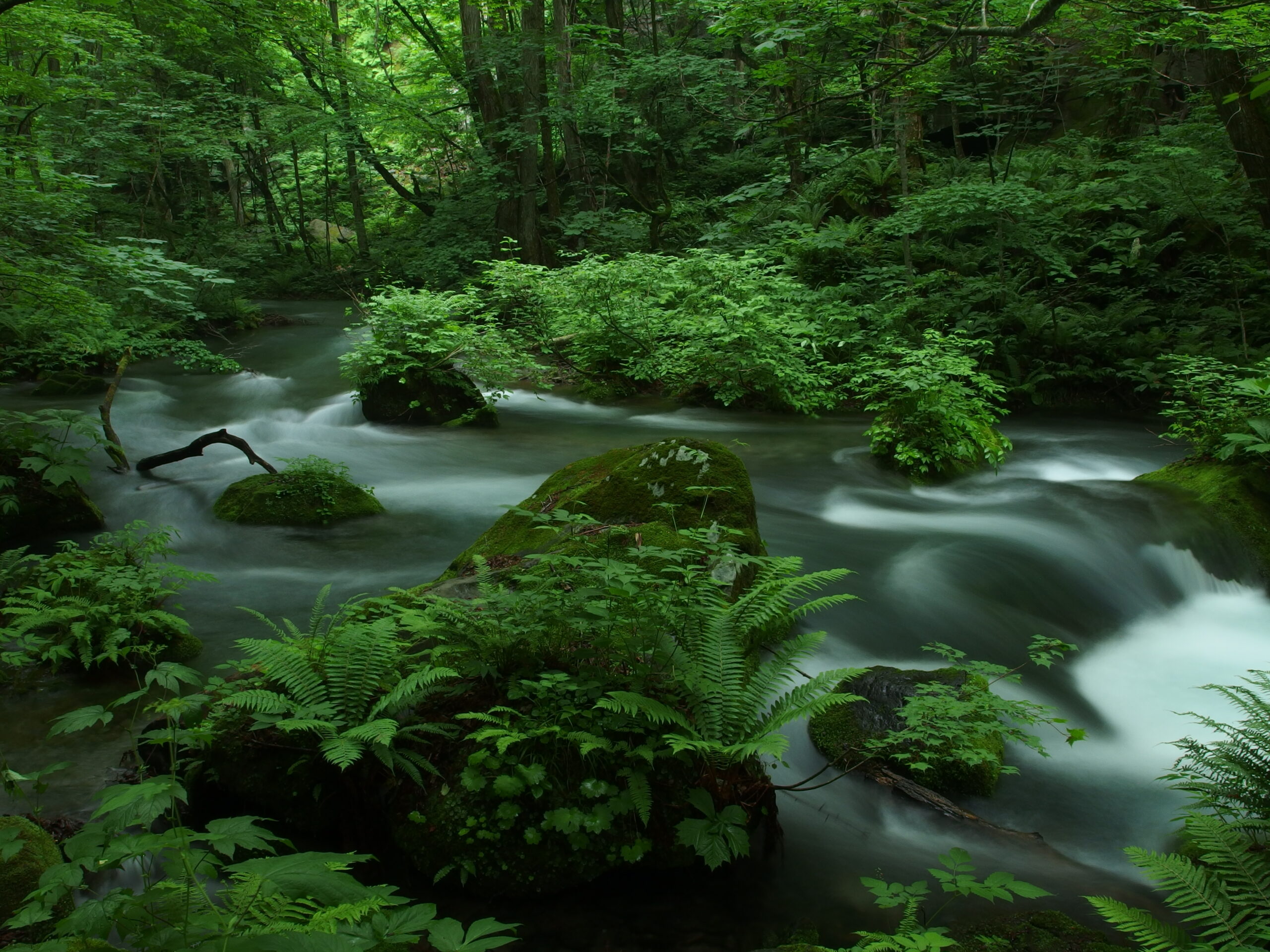 奥入瀬ネイチャーウォーク ～滝のトレイル～4