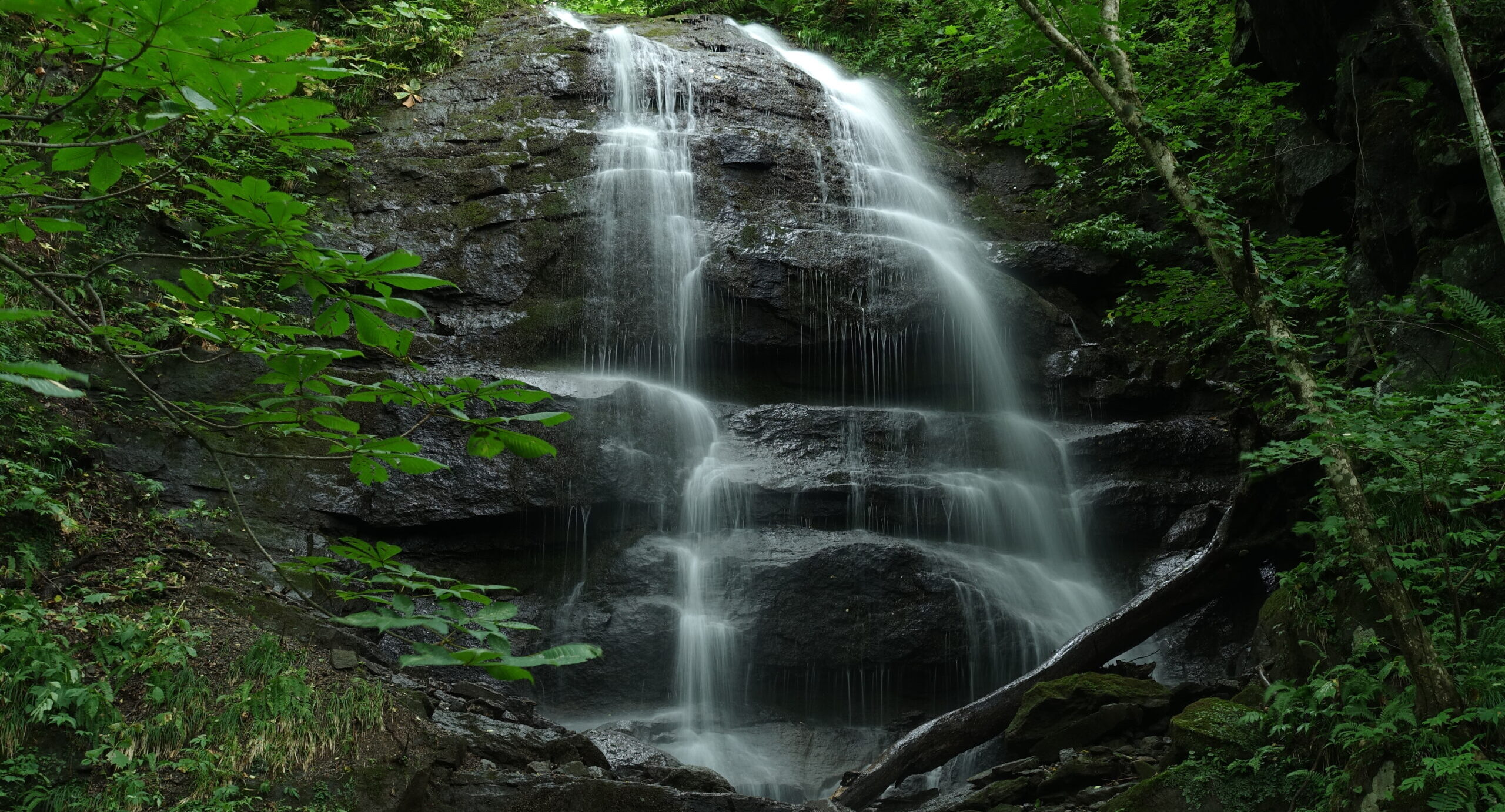 奥入瀬ネイチャーウォーク ～滝のトレイル～5
