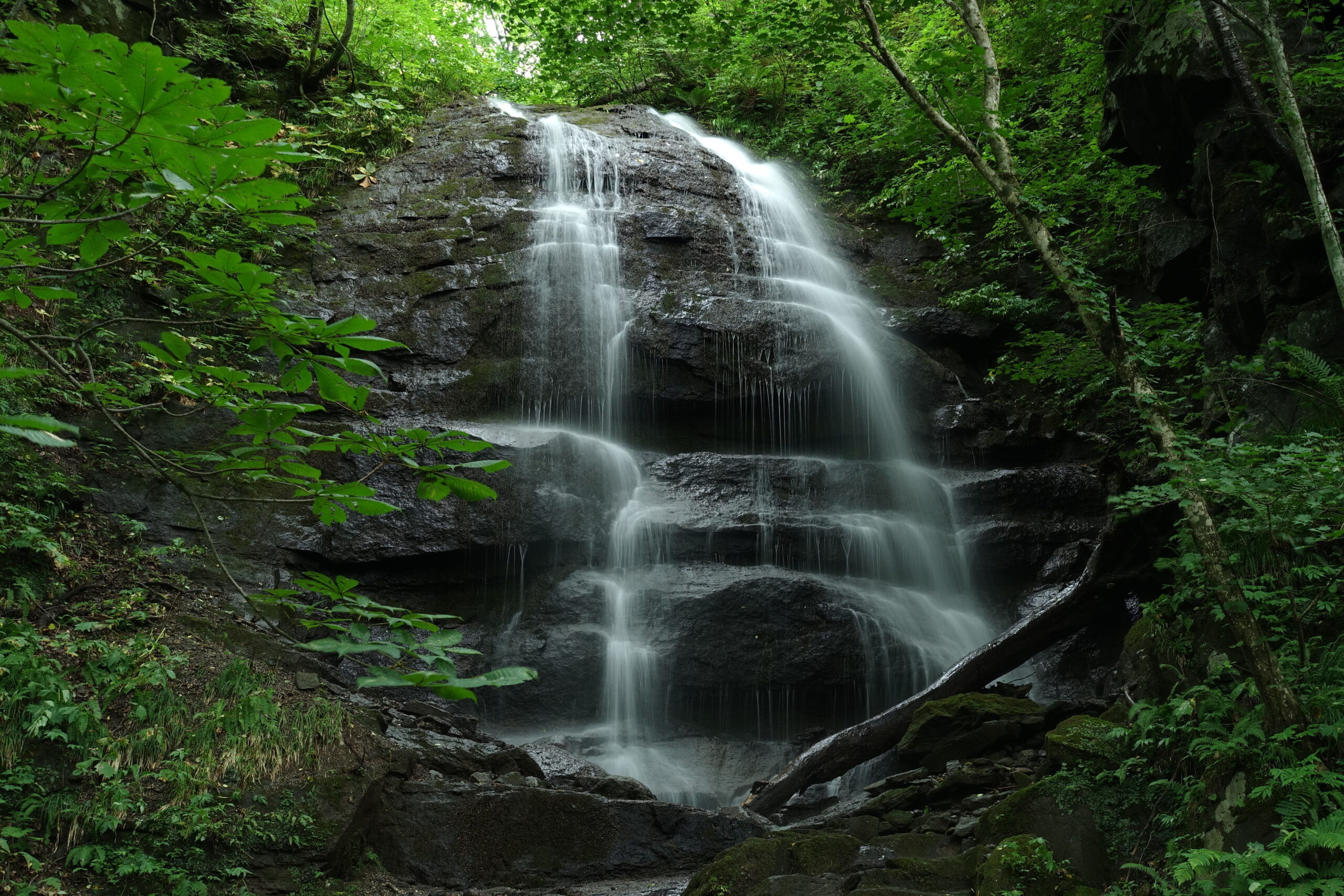 奥入瀬ネイチャーウォーク ～滝のトレイル～5