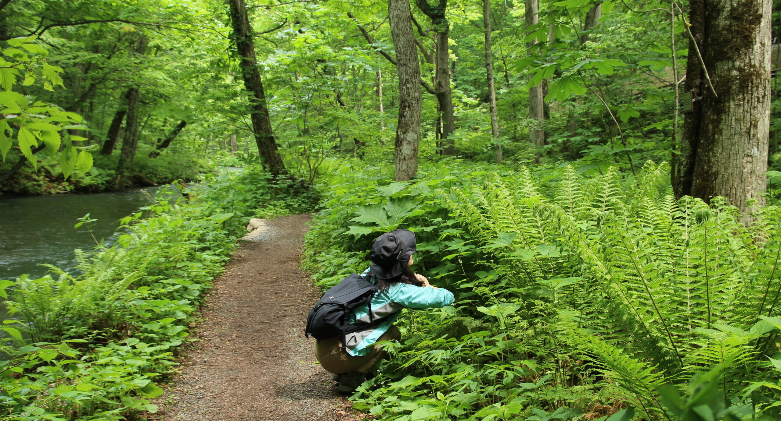 奥入瀬ネイチャーウォーク ～滝のトレイル～7