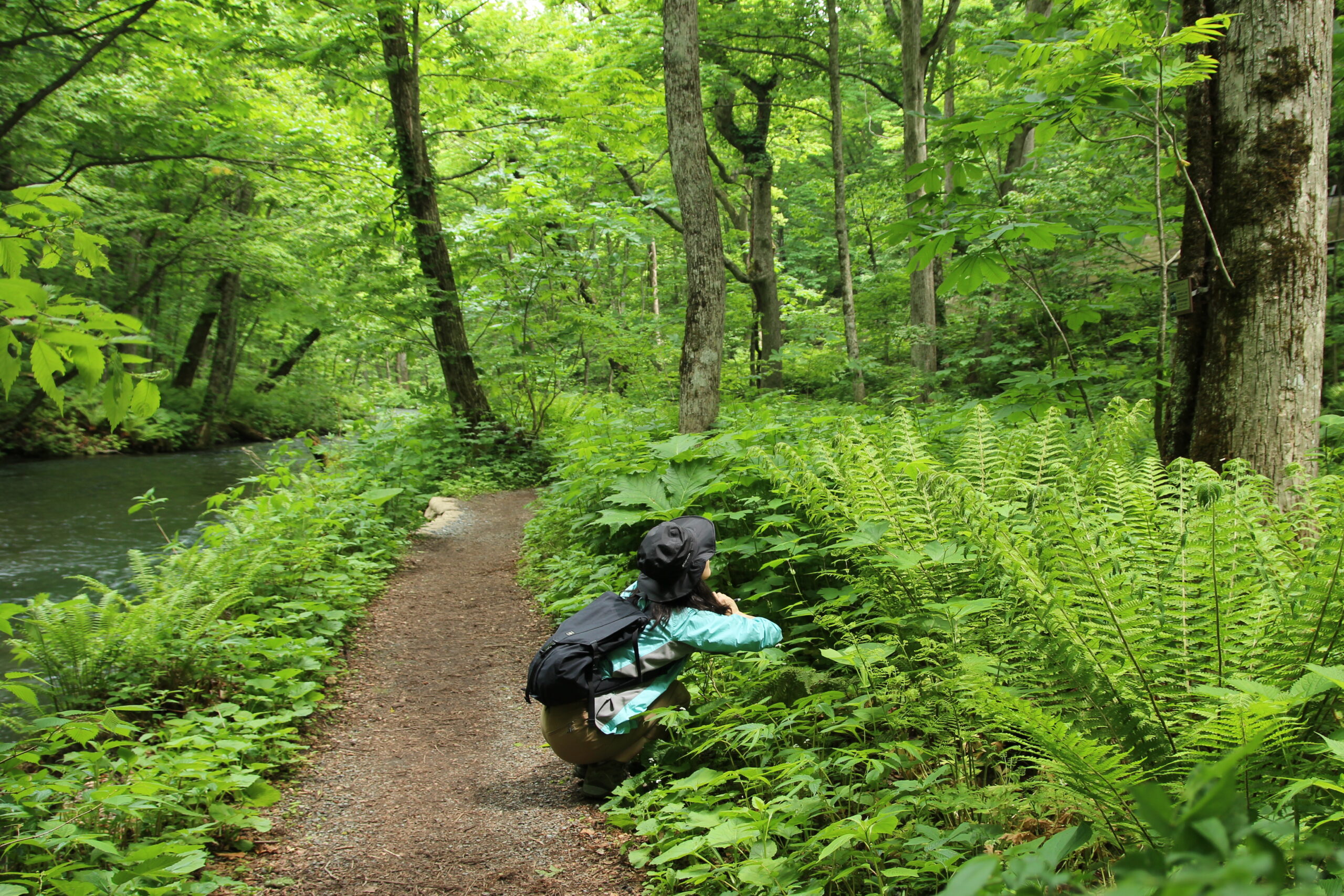 奥入瀬ネイチャーウォーク ～滝のトレイル～7