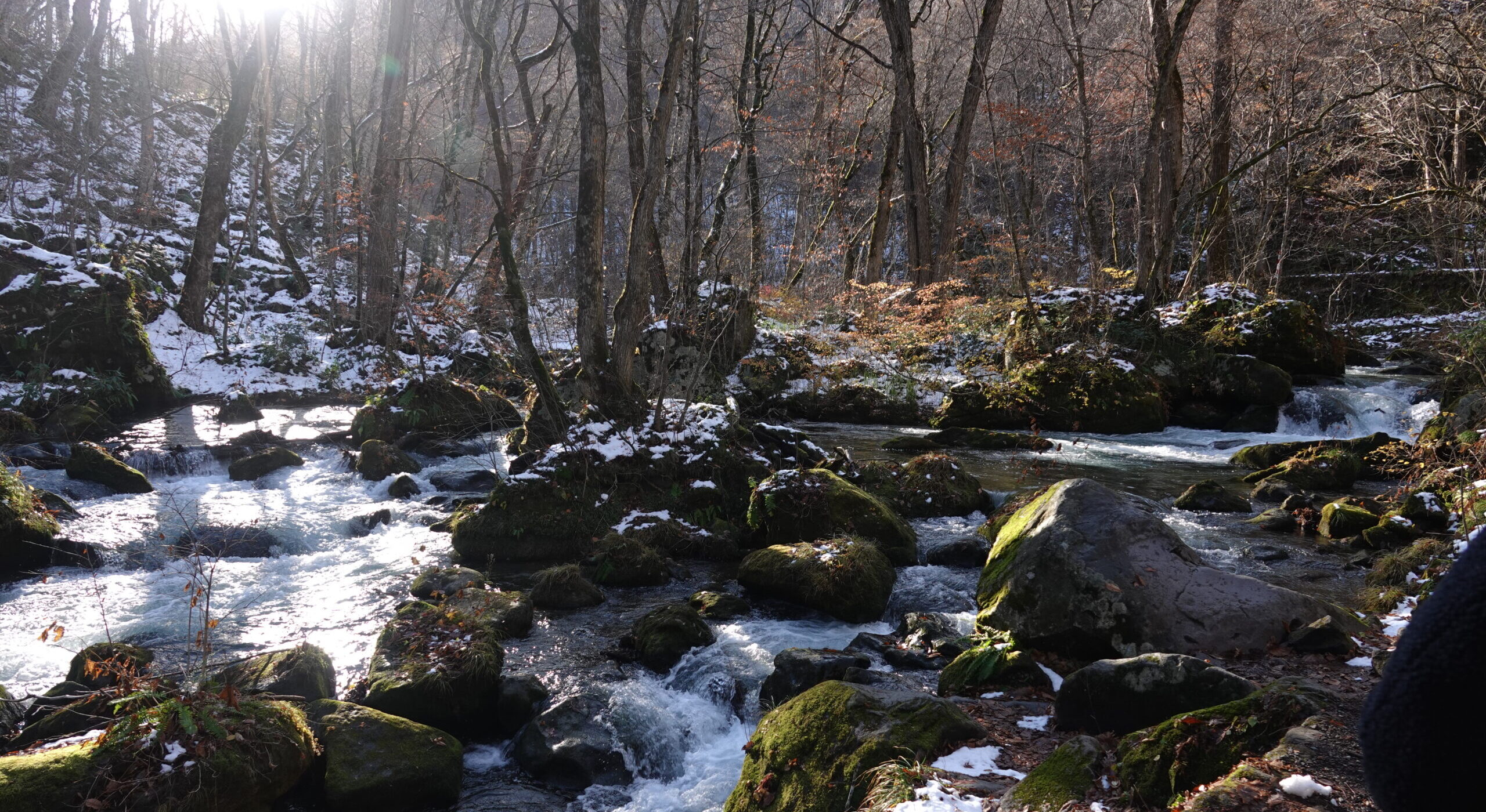 深秋の奥入瀬渓流ネイチャーウォーク3