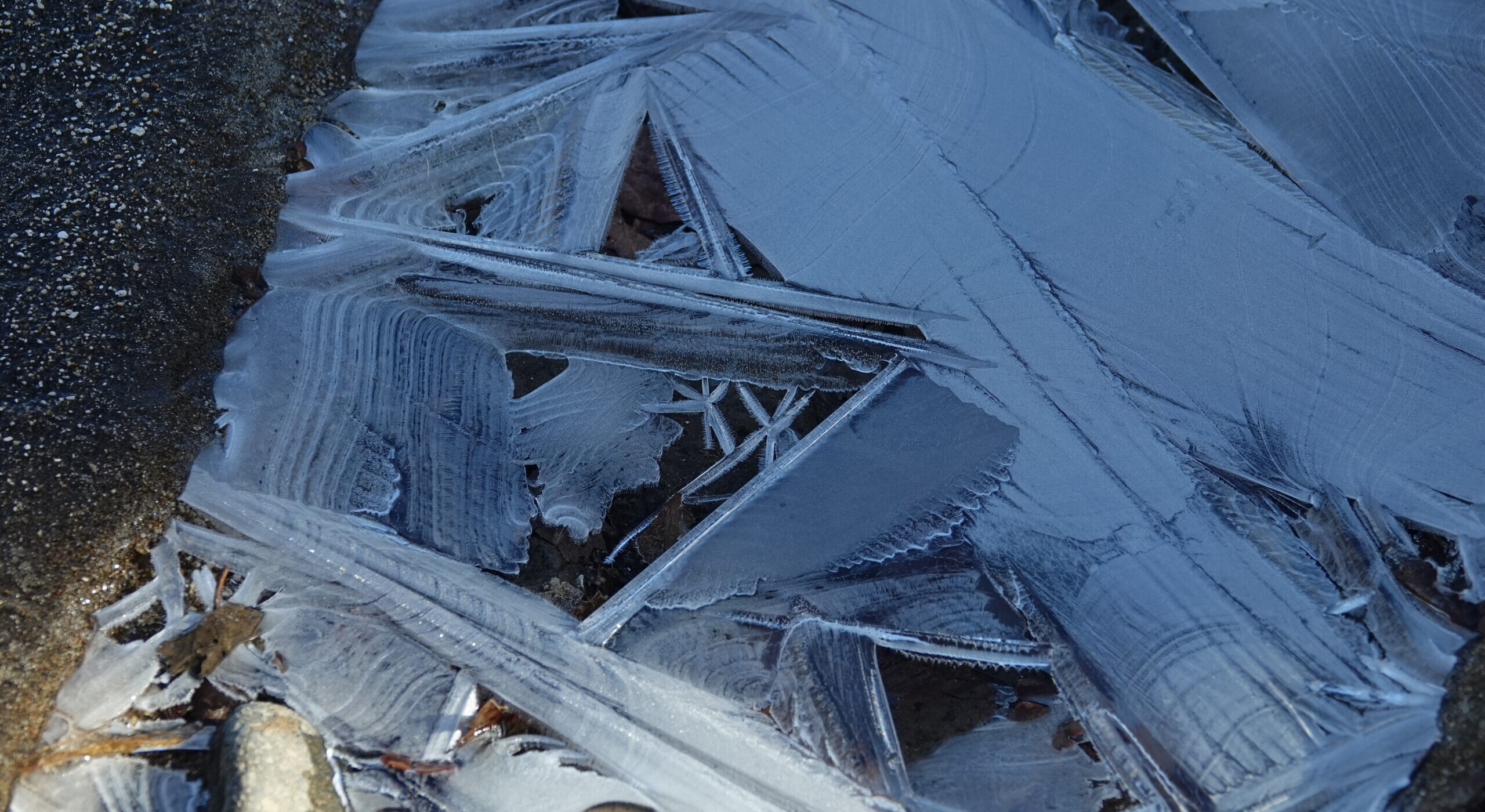 深秋の奥入瀬渓流ネイチャーウォーク4