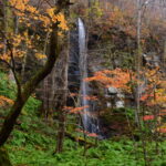 深秋の奥入瀬渓流ネイチャーウォーク thumbnail